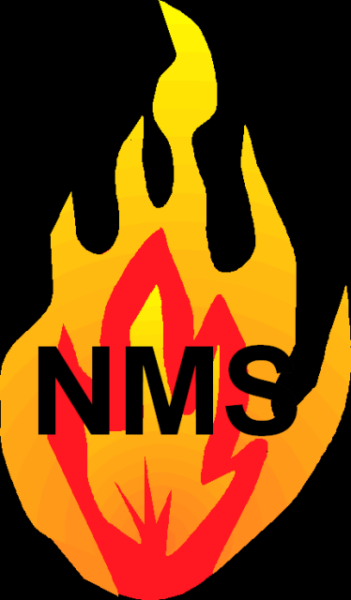 NMS Investigations Inc.
